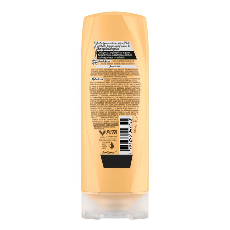 acondicionadorsedaljengibreyricinox190ml