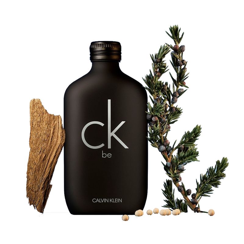 eau-de-toilette-calvin-klein-be-x-100-ml