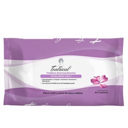 Toallitas Desmaquillantes Teatrical Agua Micelar 5 en x 140 un