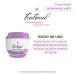 crema-facial-desmaquillante-teatrical-x-200-gr