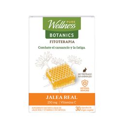 Suplemento Dietario Pure Wellness Jalea Real x 250 g