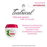 crema-facial-teatrical-antiarrugas-x-100-g