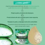 shampoo-garnier-fructis-hair-aloe-vera-x-60-g