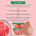 shampoo-garnier-fructis-hair-sandia-x-60-g