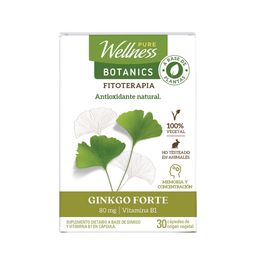 Suplemento Dietario Pure Wellness Ginkgo Forte x 30 un