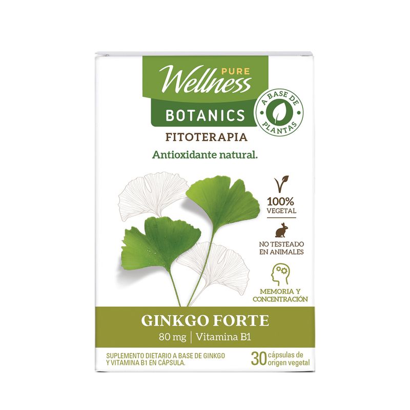 suplemento-dietario-pure-wellness-ginkgo-forte-x-30-un