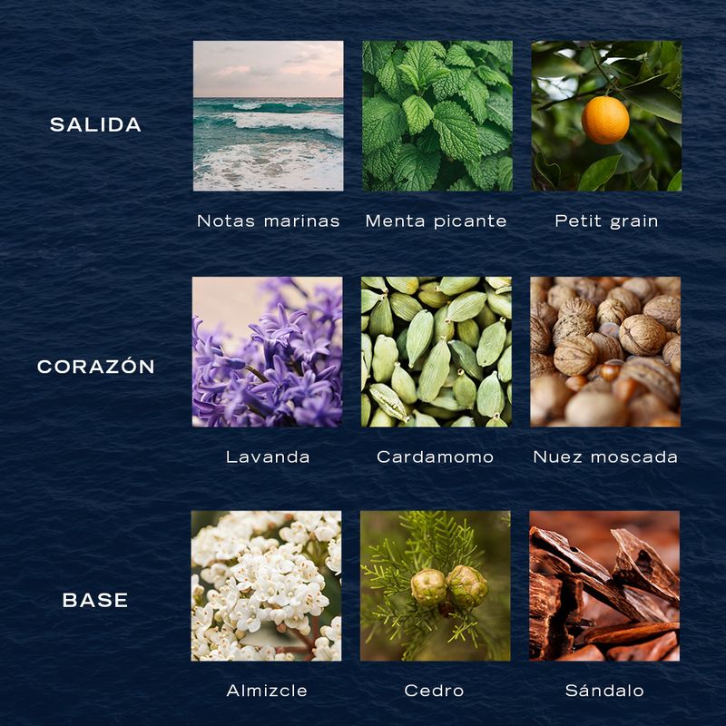 243674_edt-nautica-voyage-n-83-x-100-ml_imagen-6.jpg