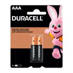 227738_pilas-duracell-alcalinas-aaa-x-2-un_imagen-1jpg.