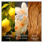 edt-chanson-d-eau-lemon-x-100-ml