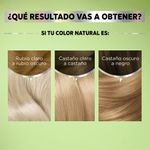 kit-tintura-nutrisse-mascarilla-nutricolor-permanente