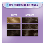 Kit Coloración Permanente Koleston 41 Castano Medcenizo Enigmatico x 65 g-1769105467930