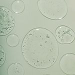 emulsion-tonica-hidehere-cica-care-x-25-ml