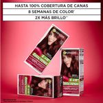 kit-coloracion-permanente-garnier-cor-intensa-x-45-g