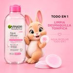 combo-look-y-cuidado-labial-maybelline-micelar-garnier