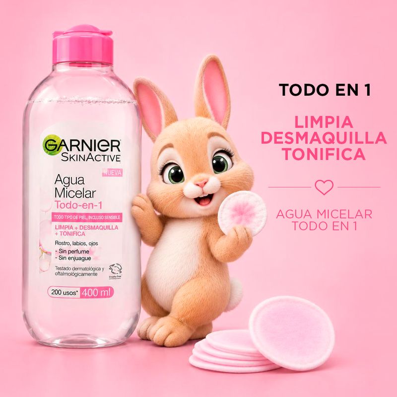 combo-look-y-cuidado-labial-maybelline-micelar-garnier