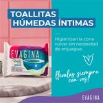 toallas-humedas-intimas-evagina-x-20-un