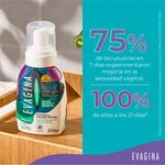 espuma-de-higiene-intima-evagina-x-240-ml