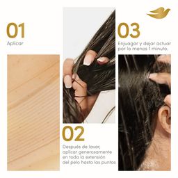 Combo Dove Repair Oleo + Crema Tratamiento